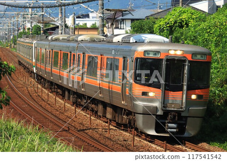 Tokaido Line 313 series 8000 series 117541542