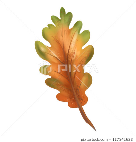 A bright autumn red-orange oak leaf. Traditional festival and harvest festival, seasonal plants. Nature, trees and rural life. Digital isolated illustration. For the design of printing and packaging 117541628