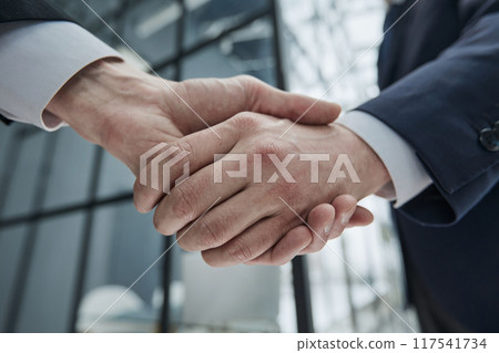 Portrait of elegant businessmen handshaking in conference hall Portrait of elegant businessmen handshaking in conference hall 117541734