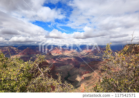 Spectacular views of the Grand Canyon in Arizona, USA Spectacular views of the Grand Canyon in Arizona, USA 117542571
