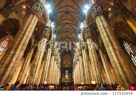 Milan Cathedral, Italy 117542654