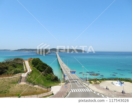 春天Kakushima Ohashi 春天Kakushima Ohashi 117543026