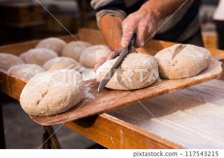 Bread preparation. loaves of dough before baking Bread preparation. loaves of dough before baking 117543215