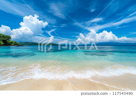 Sunlit Beauty: Rowena Beach Photography 117543490