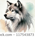 Watercolor wolf 117543873