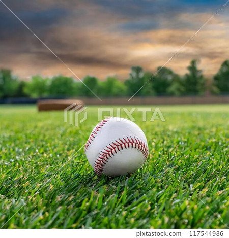 Baseball 117544986
