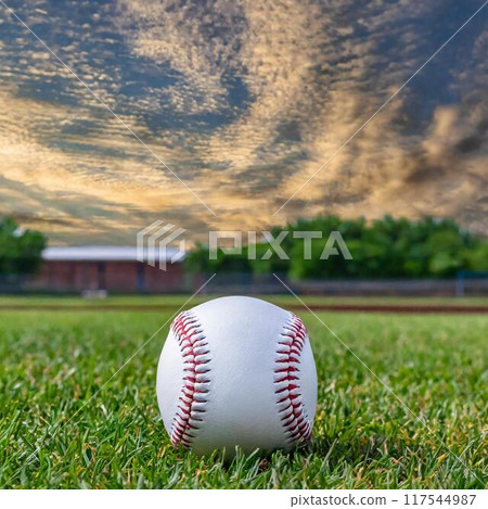 Baseball 117544987