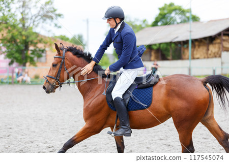 Rider patting his horse after successful showjumping course in outdoor arena during sunny day 117545074