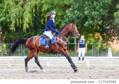 Young equestrian girl galloping her horse during a showjumping competition 117545088