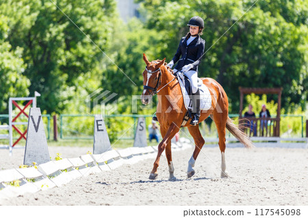 Equestrian rider competes in dressage test on a sunny day at an outdoor arena Equestrian rider competes in dressage test on a sunny day at an outdoor arena 117545098