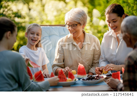 family spending time together in summer morning family spending time together in summer morning 117545641