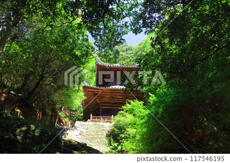 [Kagawa Prefecture] The pagoda at Yatani-ji Temple (Senju-in, Mount Kengozan), the 71st temple of the Shikoku Pilgrimage 117546195