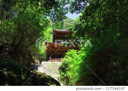 [Kagawa Prefecture] The pagoda at Yatani-ji Temple (Senju-in, Mount Kengozan), the 71st temple of the Shikoku Pilgrimage 117546197