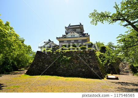 Echizen Ono Castle: Castle in the Sky - Castle tower and stone walls 117546565