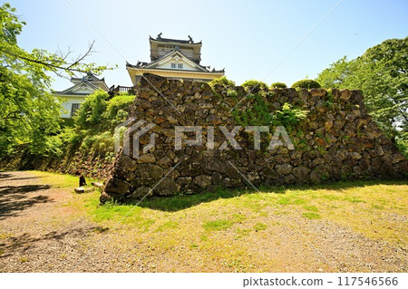 天空之城、天守閣和石牆“越前大野城” 天空之城、天守閣和石牆“越前大野城” 117546566