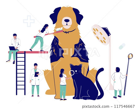 Group of vet dentist brushing teeth of dog with toothbrush 117546667