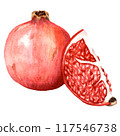 Handdrawn watercolor ripe pomegranate 117546738