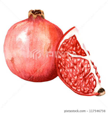 Handdrawn watercolor ripe pomegranate 117546738