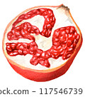 Handdrawn watercolor half of pomegranate 117546739