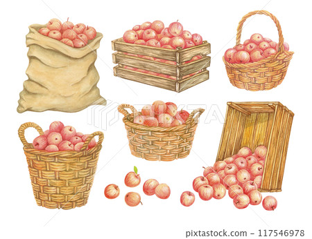 Containers for collecting and storing harvest. Canvas sack of apples. Old wooden crates with fruits. Watercolor wicker baskets full of crop. Set of isolated hand drawn farmers market or garden clipart 117546978
