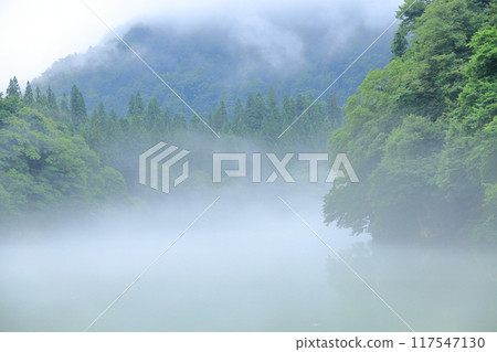 桐源峽渡輪隼人碼頭 117547130