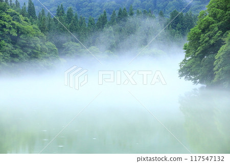 桐源峽渡輪隼人碼頭 117547132