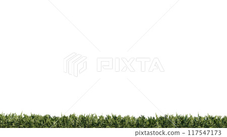 vegetation nature plant green natural environment foliage background 3d render. vegetation nature plant green natural environment foliage background 3d render. 117547173
