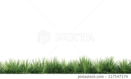 vegetation nature plant green natural environment foliage background 3d render. vegetation nature plant green natural environment foliage background 3d render. 117547174