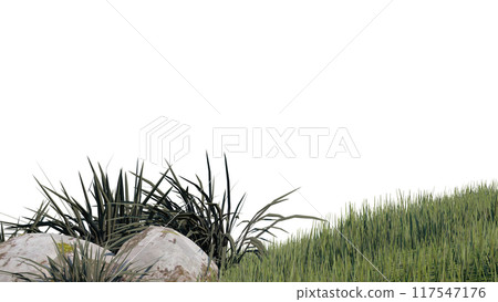 vegetation nature plant green natural environment foliage background 3d render. 117547176