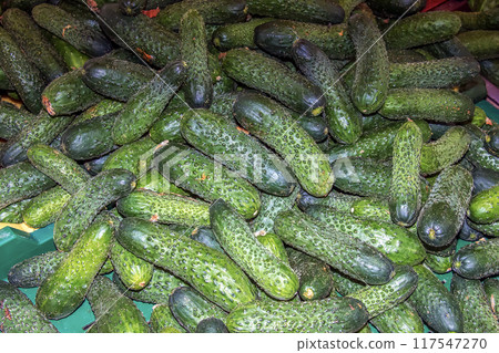 Lots of green cucumbers on the counter in the market. Food photography template 117547270