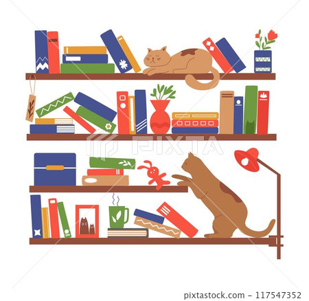 Book shelves. Books, cat and tea on the rack. Interior design. Vector flat illustration. Book shelves. Books, cat and tea on the rack. Interior design. Vector flat illustration. 117547352