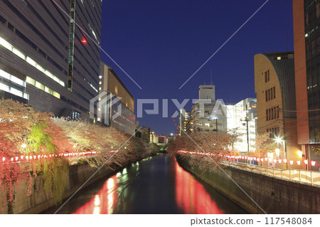 Megurogawa Sakura Festival Evening scenery Megurogawa Sakura Festival Evening scenery 117548084