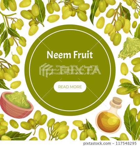 Neem Plant Banner Design with Medical Herb Vector Template 117548295