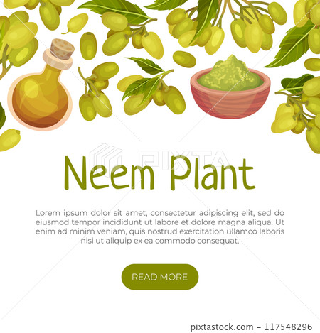 Neem Plant Banner Design with Medical Herb Vector Template 117548296