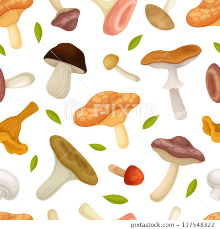 Mushroom Seamless Pattern with Forest Plant with Stem and Cap Vector Template 117548322