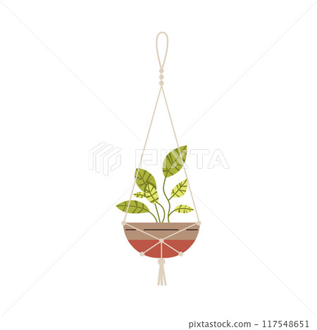 Flat vector illustration of a hanging potted plant using macrame. 117548651