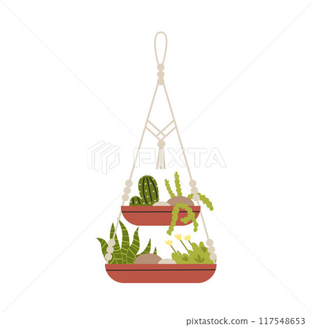 Macrame hangers for plants growing in pots, vector houseplant hang on knitted rope, decorative flowers, succulent cactus 117548653