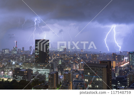 [東京] 東京遊擊雷暴 117548759