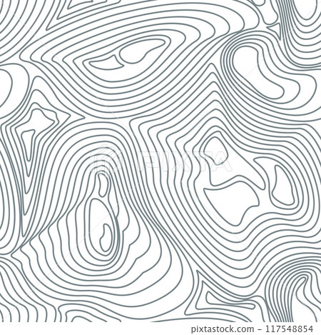 Topographic geodesy map seamless pattern Topographic geodesy map seamless pattern 117548854
