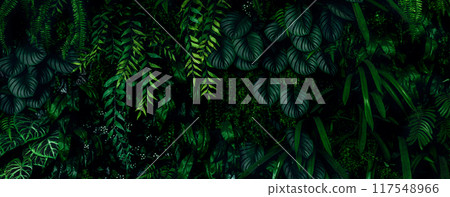 Herb wall, plant wall, natural green wallpaper and background. nature wall. Nature background of green forest Herb wall, plant wall, natural green wallpaper and background. nature wall. Nature background of green forest 117548966
