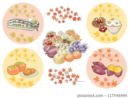 Autumn taste illustration set Autumn taste illustration set 117548999