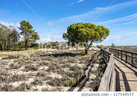 Landscape view of Parque Natural da Ria Formosa near Faro, Portugal 117549557