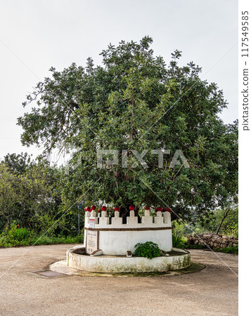 Hiking to the Rocha da Pena in Algarve region, Portugal, 117549585