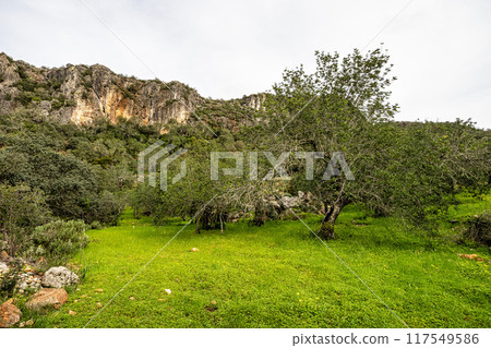 Hiking to the Rocha da Pena in Algarve region, Portugal, 117549586