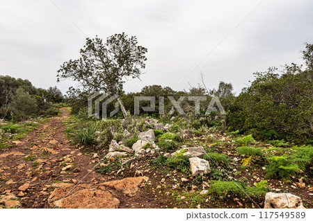 Hiking to the Rocha da Pena in Algarve region, Portugal, 117549589