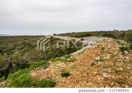 Hiking to the Rocha da Pena in Algarve region, Portugal, 117549593