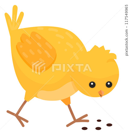 Cute chick eat seeds. Funny baby bird Cute chick eat seeds. Funny baby bird 117549965