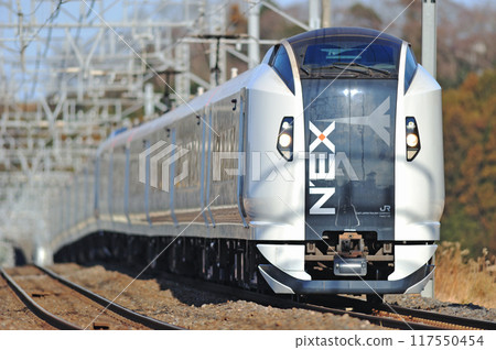 總武本線 櫻花物井 JR 東日本 E259 系列 Ne019 編組(鎌倉) 成田特快 NEX 總武本線 櫻花物井 JR 東日本 E259 系列 Ne019 編組(鎌倉) 成田特快 NEX 117550454