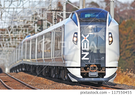 總武本線櫻花物之JR東E259系列Ne016編隊(鎌倉)成田特快NEX 總武本線櫻花物之JR東E259系列Ne016編隊(鎌倉)成田特快NEX 117550455