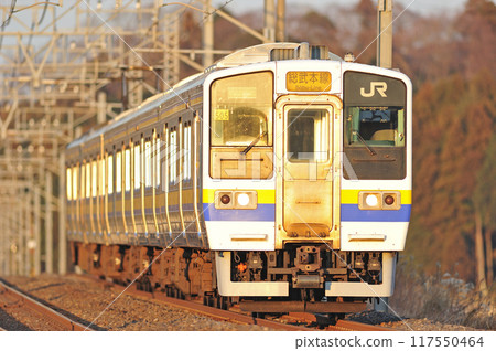 總武本線櫻花物井JR東日本211系505編組（幕張） 117550464